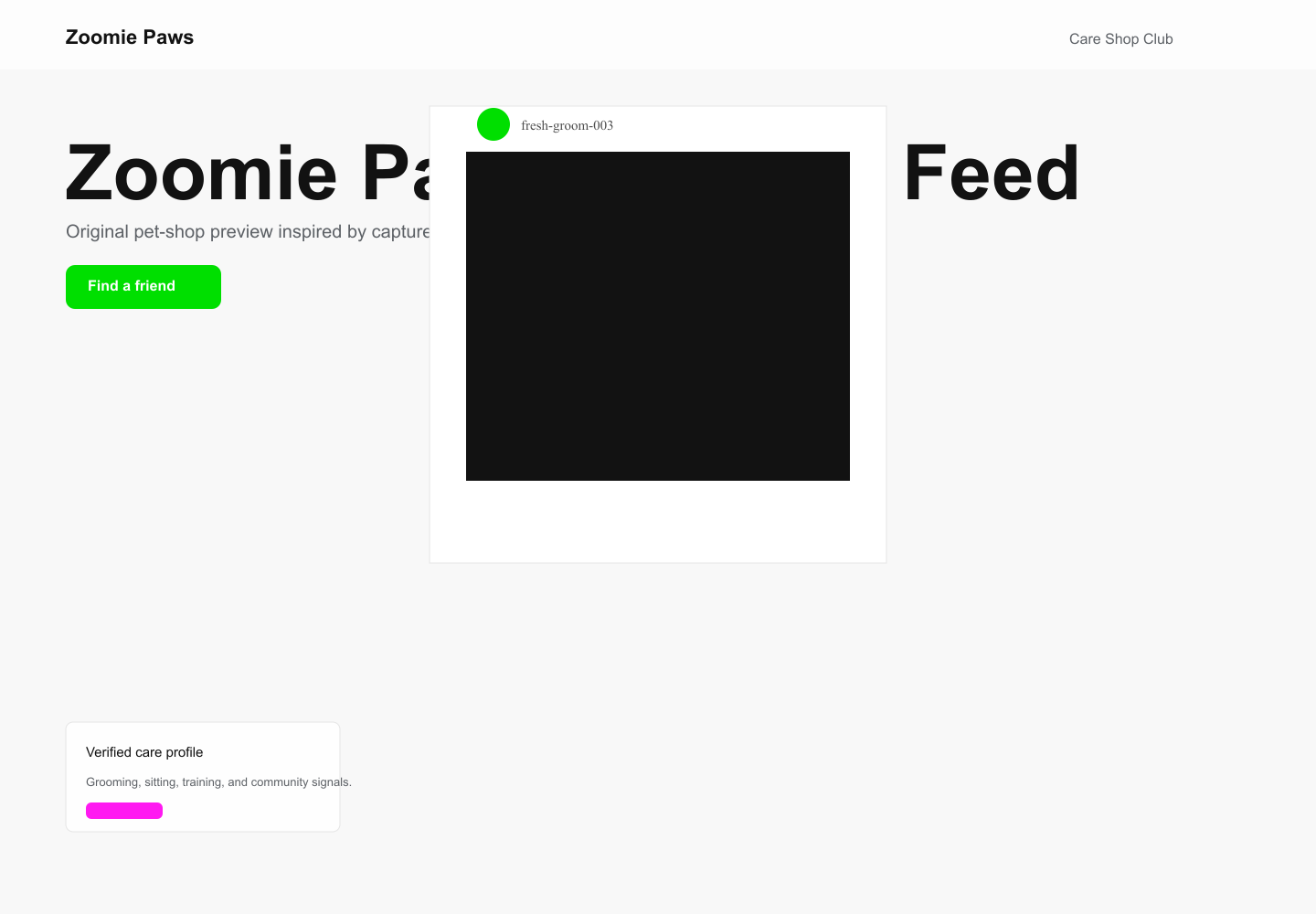 Zoomie Paws Creative Feed desktop screenshot